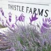 Thistle Farms Nashville 2018-Thistle-Farms-SH-005