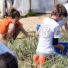 Youth Day of Service Youth Day of Service atShalom Farms