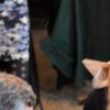 Welcome Ambassadors for St. James’s Narthex hustle bustle welcome