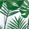 Palm Sunday palm-min