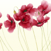 Happy Mother’s Day Slider for the Website2