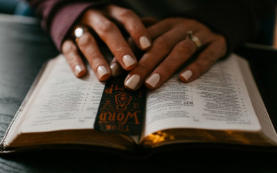 bible study hands bible study hands